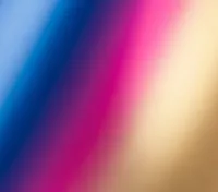 img of Stop Chasing Developers